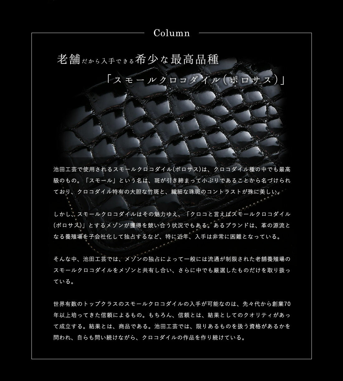 【池田工芸】《新型》『天下統一財布』、規格外大型ver.誕生。クロコダイル長財布CrocodileDesignedWalletldquo;SAMURAIGranderdquo;【6月17日頃出荷】