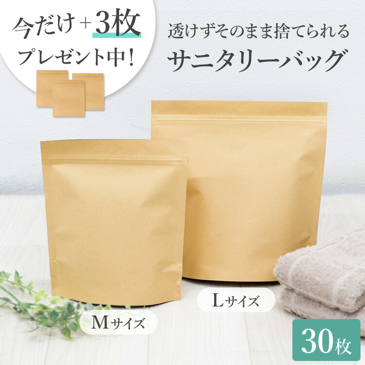 サニタリ― 袋 サニタリー防臭袋 30枚 Lサイズ Mサイズ 使い捨て 厚手素材 3層構造 耐久性 防臭性能 防臭 サニタリーバック サニタリーボックス チャック チャック付き チャック付 外泊 旅行 トラベルグッズ 生ごみ キッチン