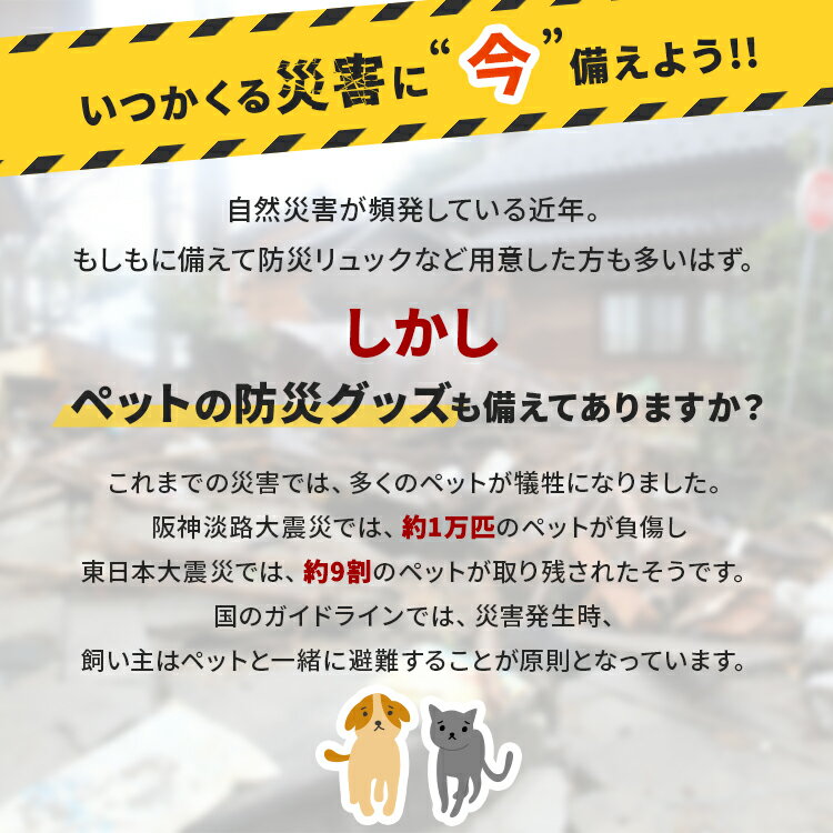 �ڥå����ɺҥХå� �ɺҥХå� �ɿ�ޥå� �ڥå��� �� �Хå� ����ǥ������� ����� �������� �������� ������ �ݡ��� �ɿ奷���� ���å���󥷡��� ����ѥ��� �ݡ���2���դ�