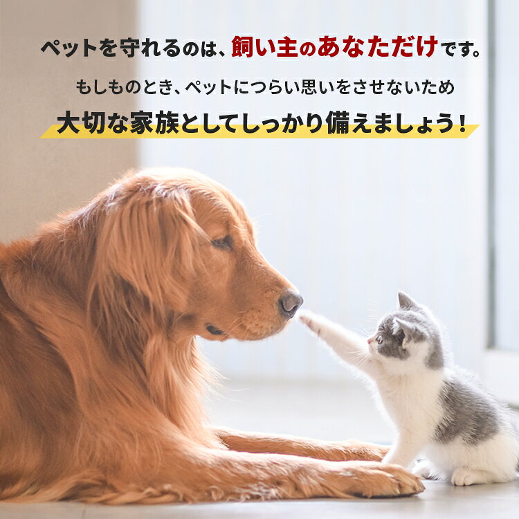 ペット用防災バック 防災バッグ 防水マット ペット用 犬 バッグ キャディーオン 手持ち ショルダー 持ち運び 大容量 ポーチ 防水シート クッションシート コンパクト ポーチ2個付き サブ画像