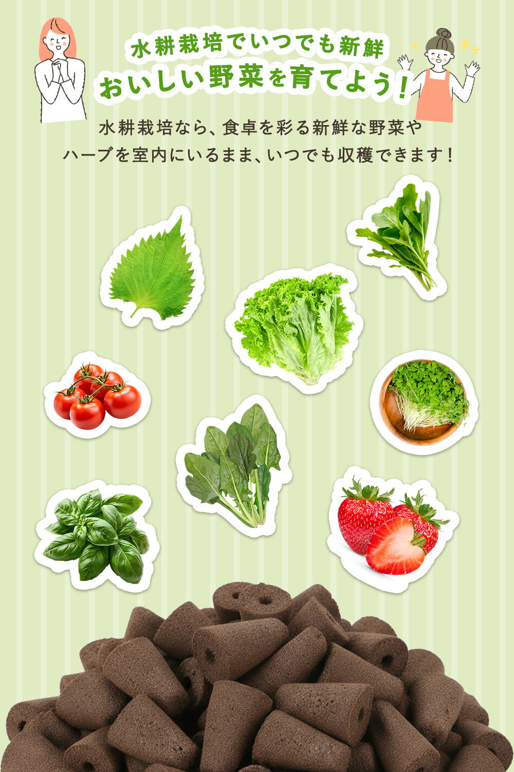 水耕栽培 スポンジ 交換用 培地 60個入り 種まき 発芽 育苗 ネットポット用 室内菜...