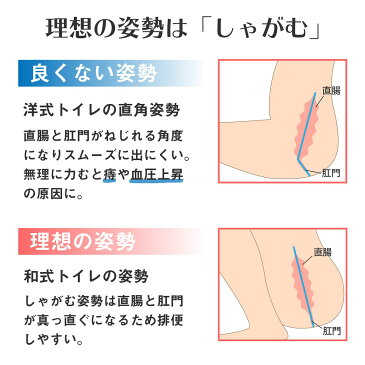 トイレ 踏み台 トイレスムーズ 滑り止め付き 2サイズ 高さ 17cm/21cm トイレ踏み台 トイレトレーニング 足置き ステップ 補助便座 ステップ 便秘解消 便秘改善 子ども キッズ 大人 洋式トイレ トイレ用品 便座 補助台 補助便座 子供用便座