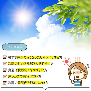 【SS期間14%OFF&9/4 20時~28時間限定P10倍】座布団 扇風機 クールマット 送風ファン内蔵 3段階温度調節 シートクーラー USB電源 節電 暑さ対策 リモートワーク テレワーク 椅子 車 アウトドア キャンプ 座椅子 カバー クッション ひんやり 冷却マット 洗える 熱中症 30日保証