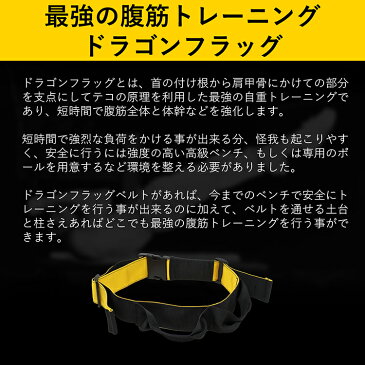 腹筋ベルト ドラゴンフラッグベルト (トレックス) trexx ドラゴンフラッグ フラットベンチ トレーニング 器具 筋トレ 腹筋 トレーニング器具 フィットネス 公園 ジム 自宅 トレーニングベルト 腹筋器具