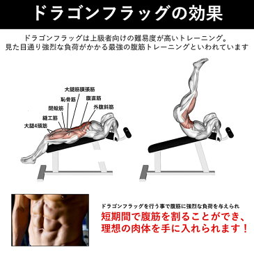 腹筋ベルト ドラゴンフラッグベルト (トレックス) trexx ドラゴンフラッグ フラットベンチ トレーニング 器具 筋トレ 腹筋 トレーニング器具 フィットネス 公園 ジム 自宅 トレーニングベルト 腹筋器具