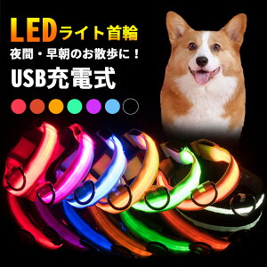 【クーポンで10%OFF】 首輪 犬 猫 光る led 光る首輪 おしゃれ 痛くない かわいい 可愛い 柔らかい キラキラ ライト 夜間 散歩 安全 苦しくない ledライト USB充電式 軽量 頑丈 サイズ調整可能 超小型犬 小型犬 中型犬 大型犬 子犬 子猫 ペット シンプル 防災 防水 犬用品