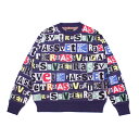 ラスベート RASSVET ニット M Lサイズ パープル/紫 メンズ トップス 長袖 セーター TYPO CLASSIC CREWNECK JUMPER -MULTI- _FAIR_e