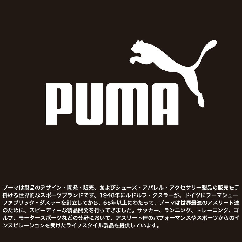 PUMA プーマ CHAOS カオス リュック デイパック リュックサック バックパック 30L 大容量 普段使い 通勤 通学 アウトドア スポーツ 部活 旅行 撥水 軽量 B4 A4 PC収納 メンズ レディース ジュニア 高校生 中学生 男子 女子 男女兼用 ブランド 人気 J20154