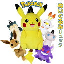 ポケモン ぬいぐるみ バッグ ポケットモンスター ぬいぐるみリュック ps-0036 ピカチュウ イーブイ ポケモングッズ リュックサック キッズ 男の子 かわ...