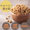 マルベリー 桑の実　300g ドライフルーツ　白マルベリー　スーパーフード　自然栽培 その1