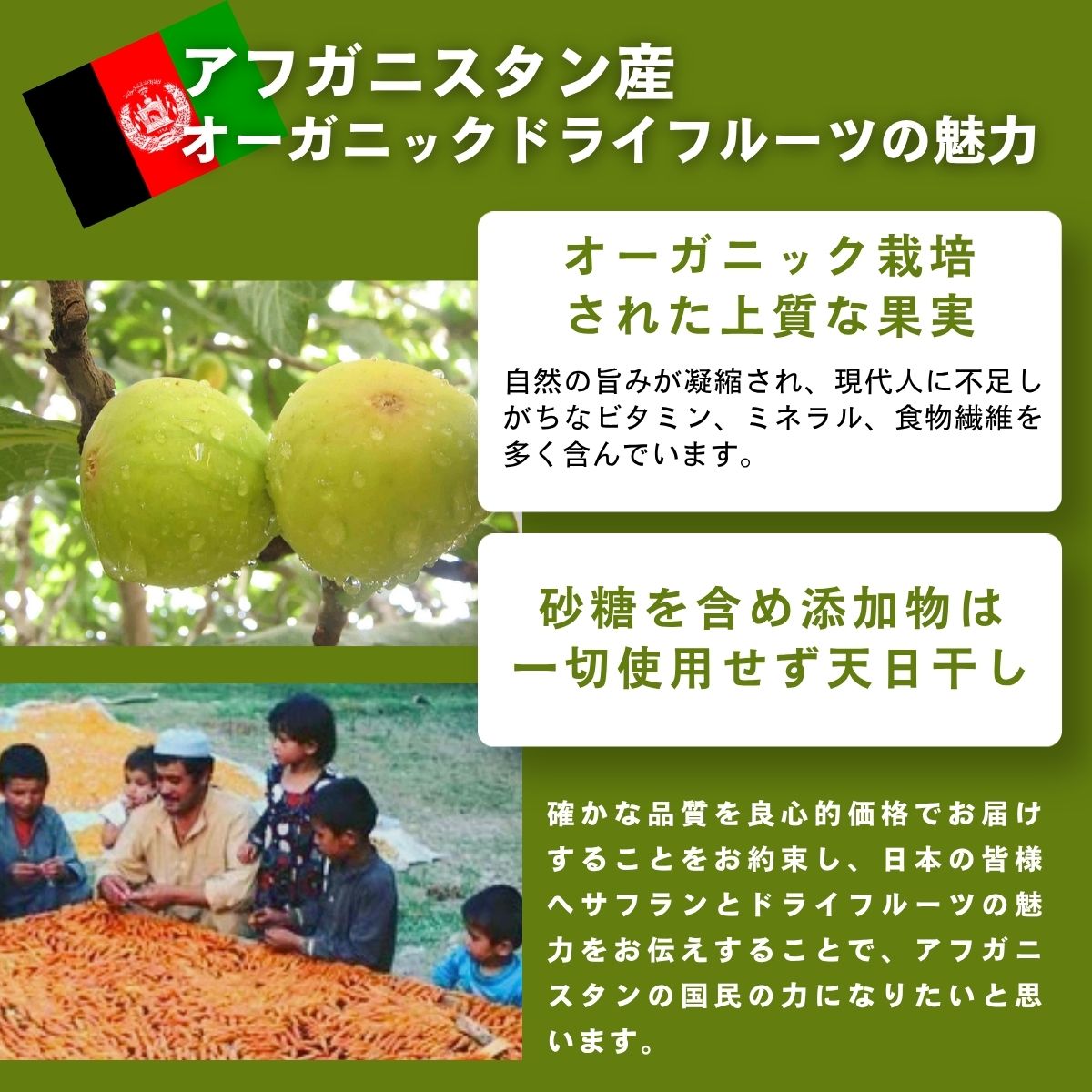 ドライフルーツ すもも ドライプラム 無添加 砂糖不使用 天日乾燥