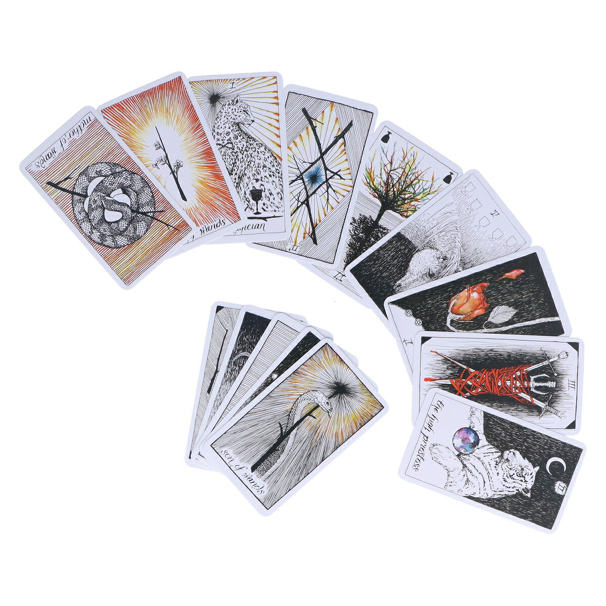 【最大1000円クーポン配布中】ワイルド アンノウン タロット 78枚 The Wild Unknown Tarot Deck ホログラム紙 占い タロットカード リーディング セルフケア 雑貨 3