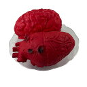 ハロウィーン 雑貨 飾り コスプレ 道具 臓器 内臓 心臓 脳みそブラッディハロウインパーティー お化け屋敷 いたずら ハロウィン装飾 肝試し 不気味