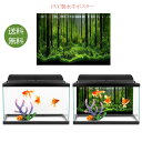 送料無料　水中ポスター 魚タンク 水族館 水槽タンク 装飾ステッカー PVC製 PVC接着剤　水中森林タンク背景　ポスター背景装飾紙 水中..