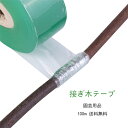 園芸用接ぎ木テープ 自己接着接木テープ グラフトテープ 接ぎ木テープ 2.5CM*100M 長い粘着性果樹の苗と苗床 接木テープ 新しい植物園芸工具