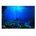送料無料 水中ポスター 水槽ポスター 水族館ポスター タンク背景 海の世界 ポスター背景装飾紙 バックグラウンド ポスター 装飾ステッカー PVC製 3D ...