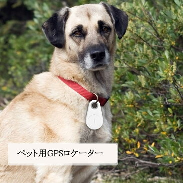 送料無料 ペット用GPSトラッカー Bluetooth連続 GPSアンチロストロケーター モニター 犬 猫用GPSロケーター追跡装置 紛失防止 盗難防止 キーホルダー 置き忘れ防止 長寿命