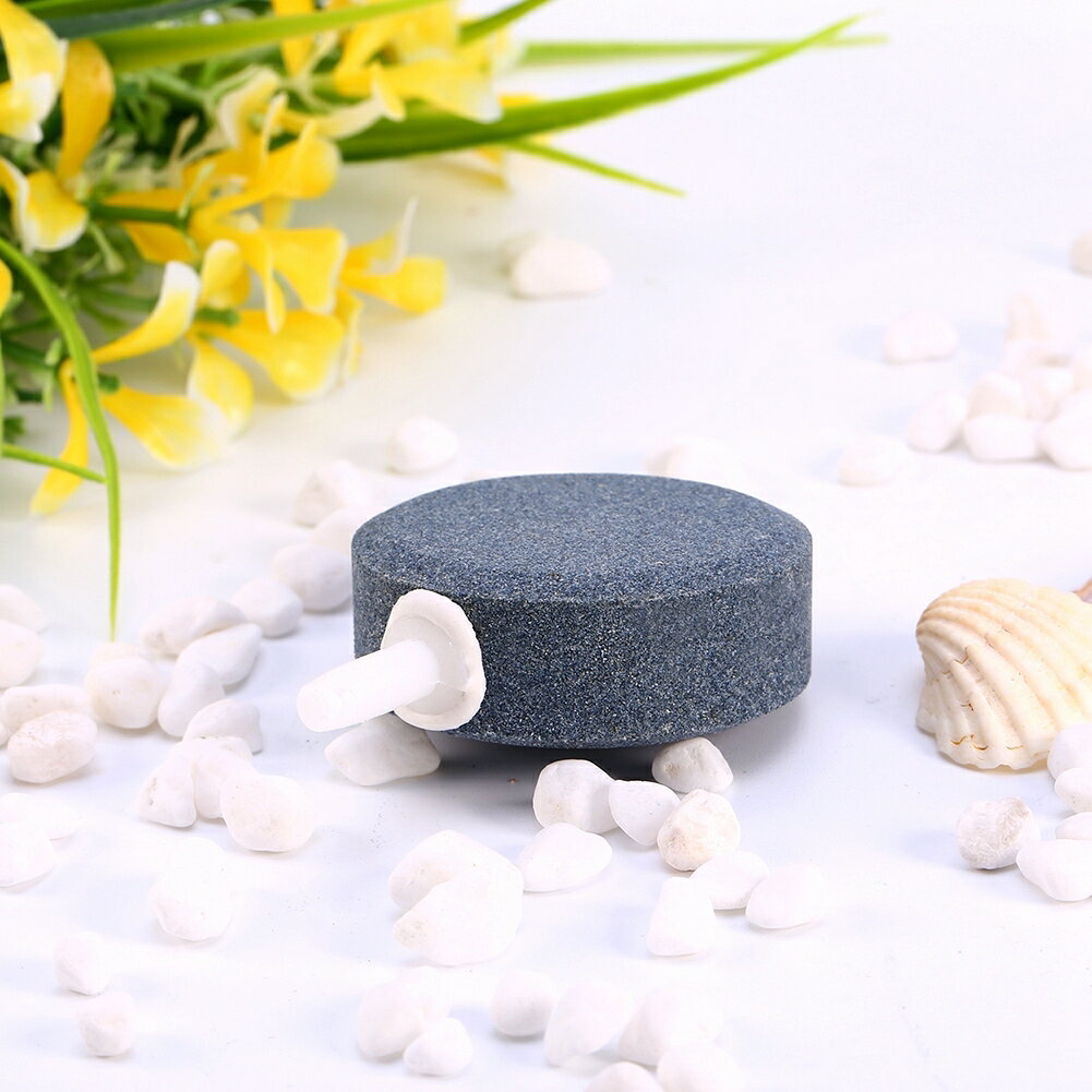 ����̵����ľ��10cm ��²�ۥ������ȡ��� �Х�֥ץ졼�� ���������ƥ� �Х֥�ǥ��ե塼�� �Х֥�ᥤ�� ��CO2���ǥݥ�� �������ꥦ�� �Х֥륨�ߥå���� �٤���ˢΩ�� �ɤ���۴�