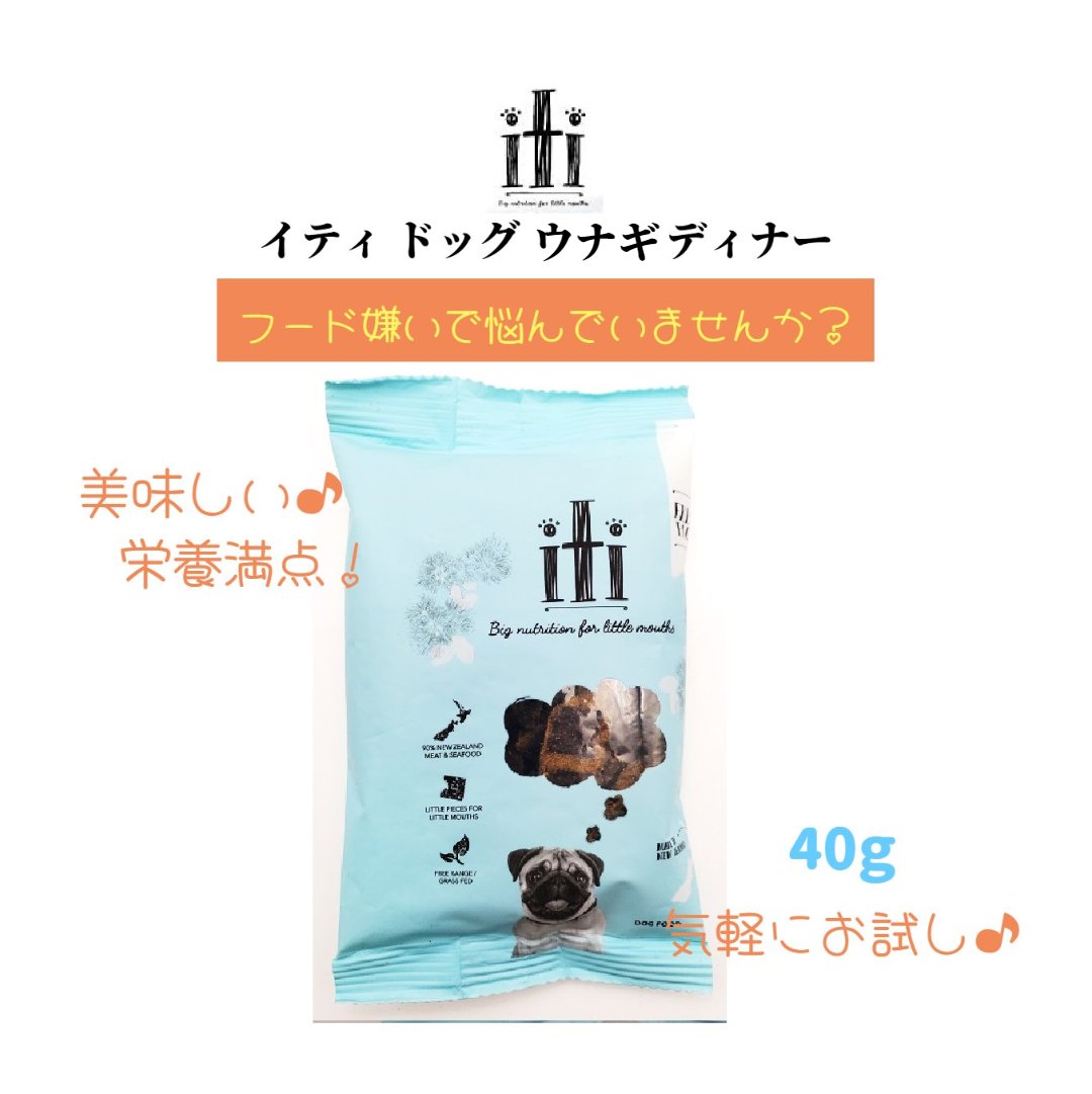 iti イティ ドッグ ビーフ＆イール（ウナギ） ディナー 40g お試し ニュージーランド産 エアドライ製法 防腐剤不使用 無着色 高タンパク質 高脂肪 高栄養価 グレインフリー 総合栄養食 小型犬 ＊3980円以上送料無料＊