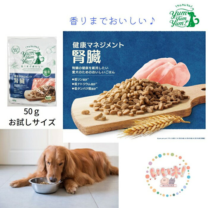 【正規品 6袋迄メール便】 腎臓ケア ドッグフード 50g yum yum yum！ 健康マネジメン ...