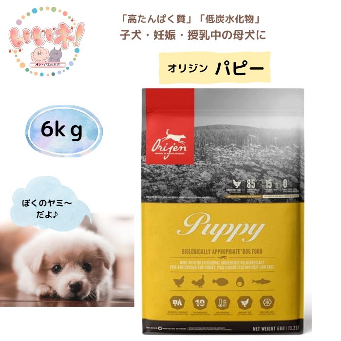 品名オリジン　パピー 犬用ドライフード（総合栄養食）対象子犬・妊娠・授乳中の母猫用内容量6kgサイズ約1.2〜1.3cmの粒 厚み約0.5cm ※粒サイズ・形は目安です。ロットによって粒の大きさや形に違いがあります。原材料新鮮鶏肉(23%)、生七面鳥肉(10%)、新鮮鶏内臓（レバー心臓)(8%)、生の丸ごとニシン(6%)、生の丸ごとヘイク(5%)、新鮮卵(5%)、ディハイドレート鶏肉(4%)、ディハイドレート七面鳥肉(4%)、ディハイドレートサバ(4%)、ディハイドレートイワシ(4%)、ディハイドレートニシン(4%)、鶏脂肪(4%)、丸ごと赤レンズ豆、丸ごとエンドウ豆、丸ごと緑レンズ豆、丸ごとヒヨコ豆、レンズ豆繊維、丸ごとピント豆、丸ごと白インゲン豆、生七面鳥レバー(2%)、ポロック油(2%)、エンドウ豆スターチ、乾燥ケルプ、新鮮丸ごとカボチャ、新鮮丸ごとバターナッツスクワッシュ、新鮮丸ごとズッキーニ、新鮮丸ごとニンジン、新鮮丸ごとリンゴ、新鮮丸ごと洋梨、乾燥チコリールート、新鮮ケール、新鮮ホウレン草、新鮮ビートの葉、新鮮カブラ菜、丸ごとクランベリー、丸ごとブルーベリー、丸ごとサスカトゥーンベリー、ターメリック、オオアザミ、ゴボウ、ラベンダー、マシュマロルート、ローズヒップ、酸化防止剤:植物油から抽出したトコフェロール:121mg、クエン酸:40mg、ローズマリーエキス:80mg、添加栄養素(1kgあたり):3b606亜鉛:105mg、3b406銅:11mg、3a821ビタミンB1:14.7mg、3a841ビタミンB5:12.5mg、3a672aビタミンA:3750IU、3a671ビタミンD3:500IU、3a700ビタミンE:110IU、添加腸球菌:4b1707エンテロコッカスフェシウム菌NCIMB10415:1x10^9CFU保証成分粗タンパク質 38%以上、脂肪分 20%以上、粗灰分 8％以下、粗繊維 5％以下、水分 12%以下、カルシウム 1.4%、リン 1.1%、オメガ3 1.1%、オメガ6 3.0%、DHA 0.35%、EPA 0.25%カロリー400kcal/100g特徴遺伝子組み換え原材料・穀類・ポテト不使用JANコード064992180607 原産地カナダ【送料無】Orijen オリジン パピー 6kg ドッグフード 子犬・妊娠・授乳母犬 高タンパク質 低炭水化物 カナダオリジン　パピーは子犬や妊娠・授乳中の母犬の為に作られた高品質のフードです 原材料は新鮮で安心かつ栄養価・消化率・風味を重視し信頼ある農家・牧場・漁師から調達している世界トップレベルの原材料を実現しました。 《バイオりジックフード》と呼ばれこれは『生物学的観点に基づいて、犬と猫にとって最適な高品質のペットフード』ということです粒の大きさ食べやすい小粒タイプです(*^^*) 約1.2〜1.3cmの粒 厚み約0.5cm ※粒サイズ・形は目安です。ロットによって粒の大きさや形に違いがあります。安心のフードですわんちゃんの進化的そして生物学的ニーズに合わせて、栄養豊富なたんぱく質を40%の割合で含み、低GI炭水化物を19%に制限しています。 レンダリングされた家禽肉ミールは一切含まず、原料に含まれる3分の1の肉は、ディハイドレート鶏肉と七面鳥肉です。新鮮な肉を低温で調理し、空気乾燥させているので、栄養価をそのまま濃縮した良質のタンパク源となります。オリジンの特徴他のどの様なフードにも見られない、原材料リストのトップ10に含まれる肉のまる3分の2は、新鮮（保存剤を使わず冷蔵）または生（保存剤を使わず急速冷凍）です。 新鮮な肉や臓器、軟骨、プラス新鮮な丸ごと魚と新鮮な全卵の栄養がぎっしりと詰まったWholePrey™比率で、わんちゃんに必要な殆ど全ての自然な栄養源を提供します。ゆっくりとフリーズドライされたレバーの注入が風味と味を自然に高めるので、オリジンは大変嗜好性の高いフードでございます。信頼できる生産者が飼育・栽培・漁獲した新鮮な食材◎85％　鶏・七面鳥・カレイなど ◎15％　野菜・果物・ハーブ類 ◎0％　遺伝子組み換え原材料・穀類・ポテト不使用 関連商品はこちらにゃんばーどわん 犬 フード ペット 乳...2,800円【送料無料】にゃんばーどわん 200ml+20...5,200円【送料無料 即日発送】レナトス 水素サ...3,520円【送料無料】 水素サプリメント レナト...9,680円