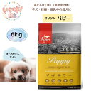 【送料無料】 Orijen オリジン パピー 6kg ドッグフード 子犬・妊娠・授乳母犬 高タンパク質 低炭水化物 グレインフリー 穀物不使用 安心 安全 栄養 カナダ産