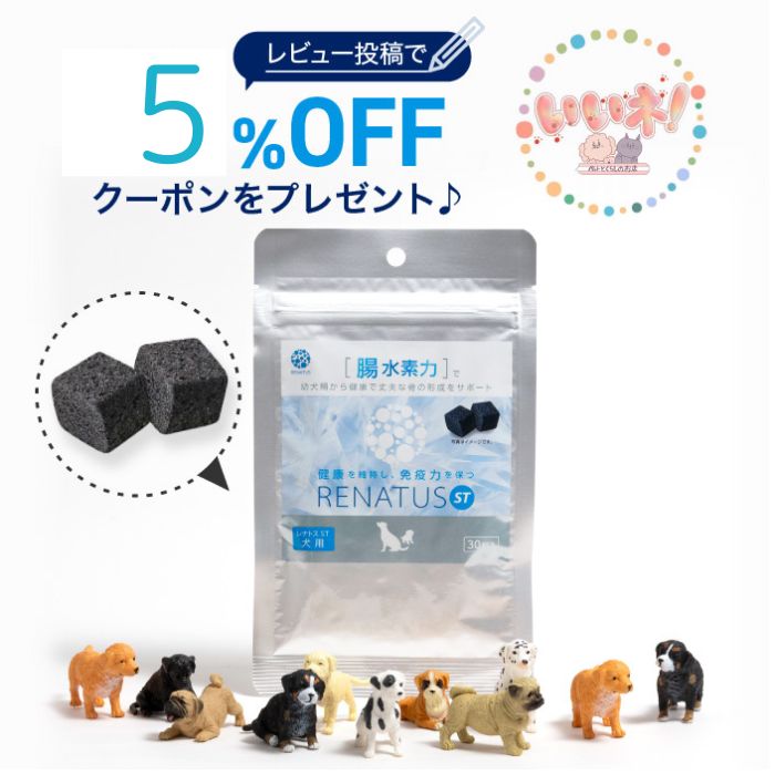 楽天ペットとくらしのお店いいネレナトス 犬用 レナトス犬 水素サプリメントRENATUS ST SD-5 総合サプリ 水素 皮膚 被毛 関節 血管 目 腎臓 健康維持 ケイ素 エイジングケア 健康 特許取得 日本製 持続性水素 レナトスジャパン正規販売店 送料無料 【お一人様3袋迄でお願いします】賞味期限：2025.8/31