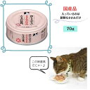 何も入れないささみだけのたまの伝説 ささみ 70g 猫缶 無添加 国産品 安心 安全 おいしい 低カロリー 3980円以上送料無料