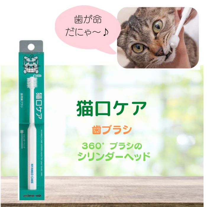 猫口ケア はぶらし シリンダーヘッド 猫用歯ブラシ 歯ブラシ 日本製 マインドアップ デンタルケア 3980円以上送料無料