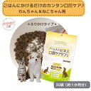 口腔ケアサプリ 30袋 ペットハピネス ふりかけタイプ 犬用 猫用 ソーシン マスティック配合 着色料 香料 防腐剤不使用 3980円以上送料無料