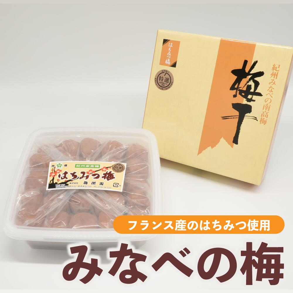 梅干し はちみつ入 みなべの梅 梅干 フランス産 太陽の蜂蜜使用