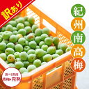 紀州・和歌山産 ”みなべ南高梅 熟梅” 秀品 L 約3kg【予約 6月以降】 送料無料