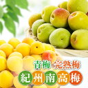 【予約】発送予定6月上旬～[特選] 紀州 南高梅 1kg 【 送料無料 KS 青梅 和歌山産 産直 黄梅含む 生梅 梅干し用 梅酒の梅 梅酒用 ジャム シロップ ジュース 直送 】