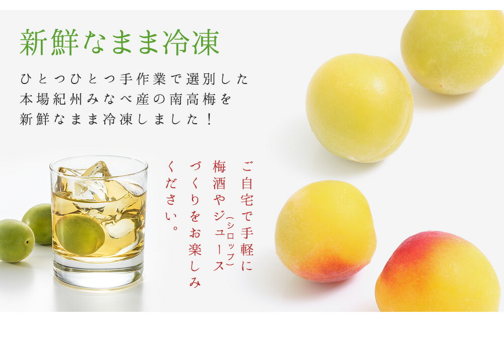 冷凍梅 1kg 選べる熟度とサイズ 2021年度産冷凍南高梅 和歌山県産 冷凍梅送料無料（一部別途）梅ジュース・梅シロップ・梅酒・梅ジャム ・青梅・梅干し 紀州産