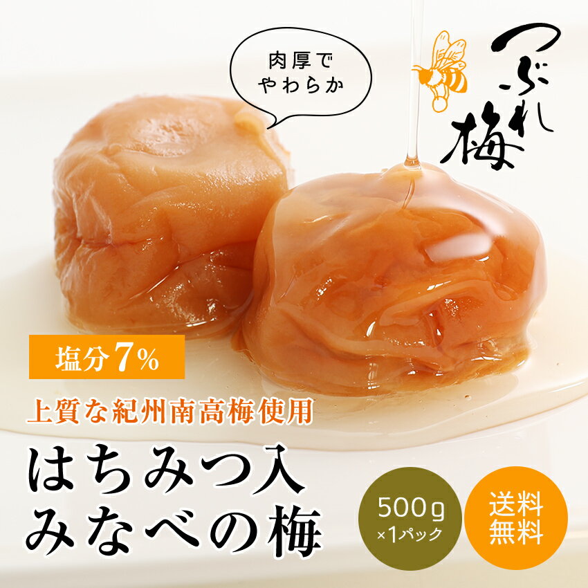 梅干し はちみつ 500g フランス産はちみつ...の紹介画像3