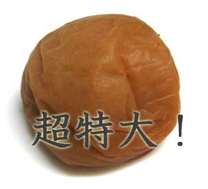 梅干し 紀州南高梅 みなべの梅 あまちゃづる入 1.8kg 超特大4Lサイズ