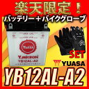 【バイク用メッシュグローブ付】 台湾 YUASA ユアサ バ...