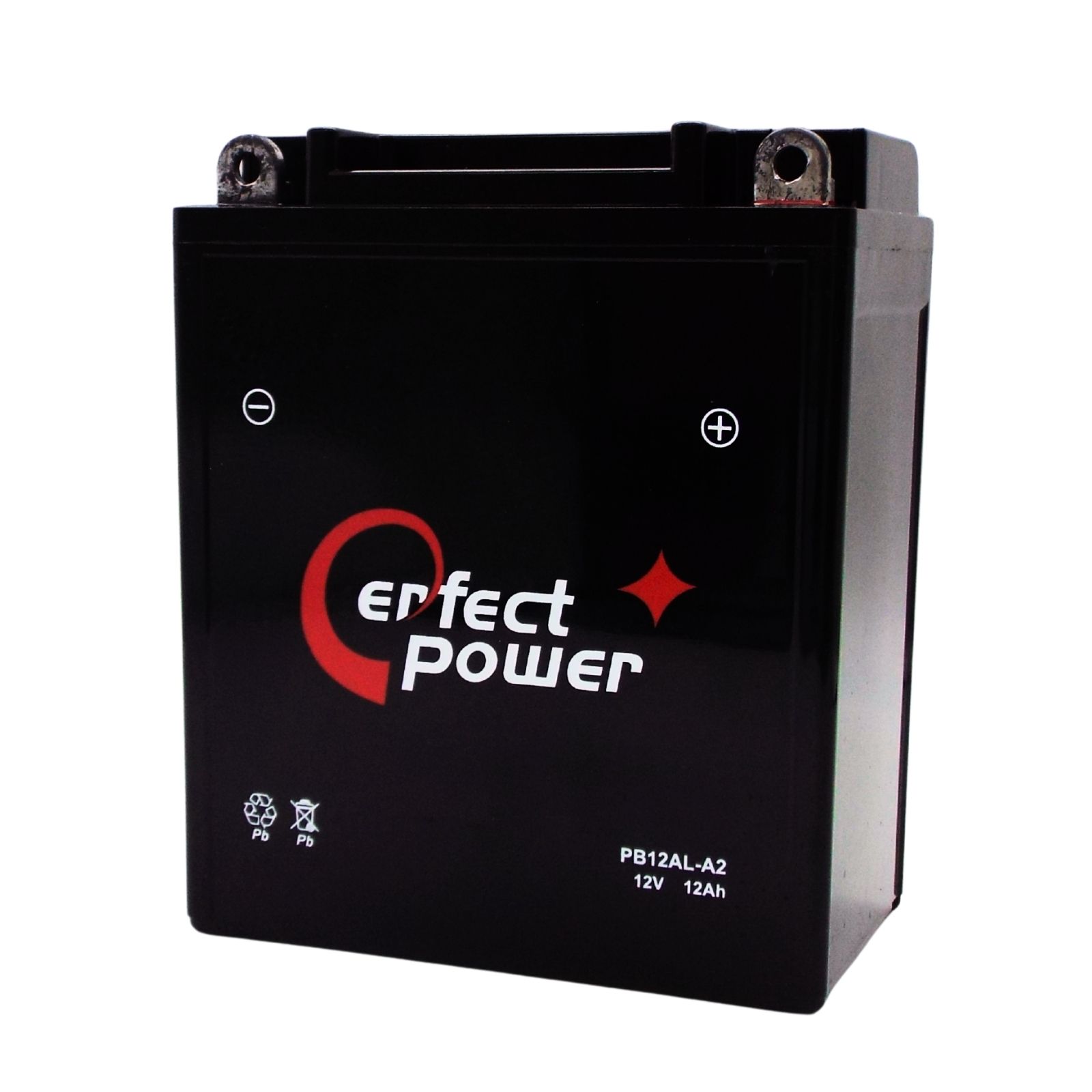 パーフェクトパワー PB12AL-A2 MF 密閉型 充電済バイクバッテリー 【互換 ユアサ YB12AL-A2 YB12AL-A FB12AL-A】ホンダ除雪機