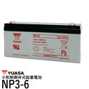 台湾 YUASA ユアサ NP3-6 小形制御弁式鉛蓄電池 新品 シールドバッテリー UPS 互換 WB634 UB634 D5732 PS630