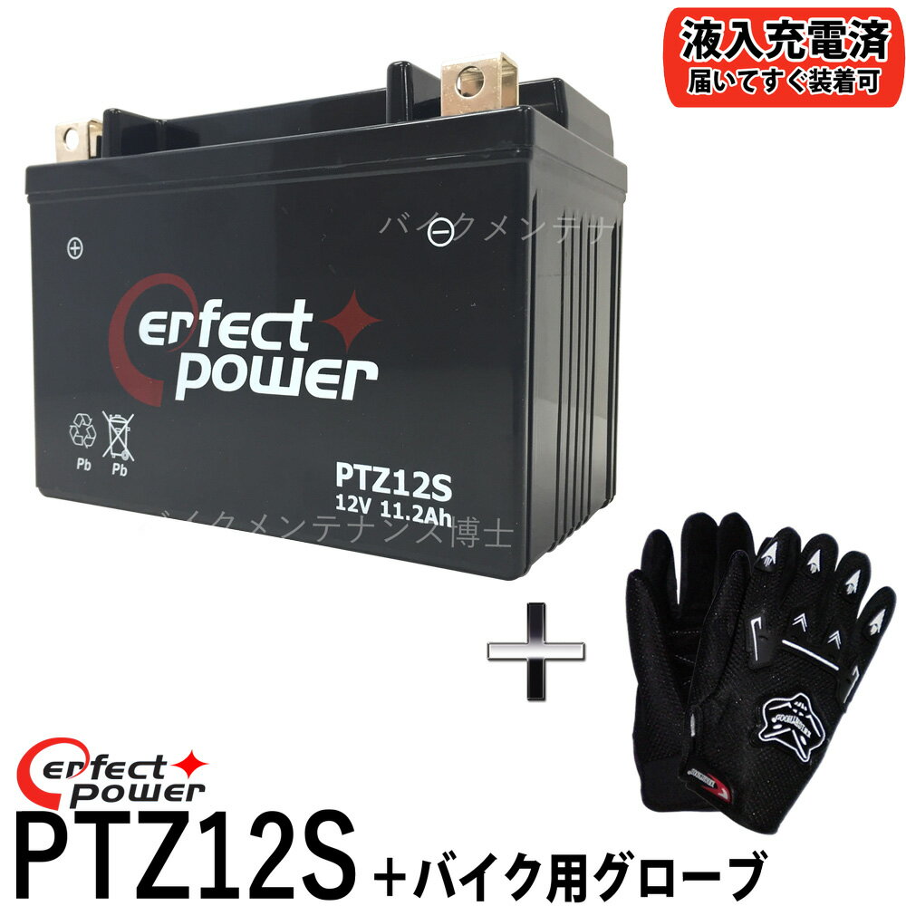 【バイク用メッシュグローブ付】 PERFECT POWER PTZ12S バイクバッテリー 【互換 YTZ12S TTZ12S TZ12S FTZ12S DTZ12-BS】 初期充電済 即使用可能フォルツァZ フォルツァX MF06 MF08 MF10 シルバーウイング VFR800