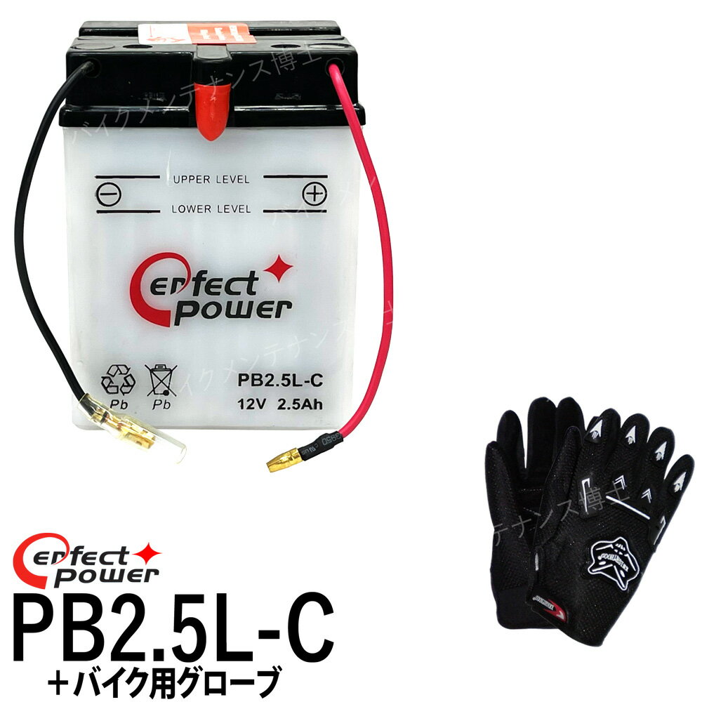【バイク用メッシュグローブ付】 パーフェクトパワー PB2.5L-C 開放型 液別 バイクバッテリー 【互換 YB2.5L-C FB2.5L-C GM2.5A-3C-2】 NSR80 NSR50 MTX50 CRM50 CB125JX その1
