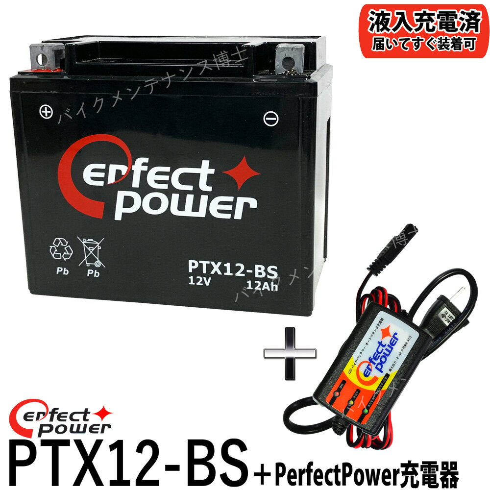 ХХåƥ꡼Ŵ糧å  PerfectPowerŴ + PERFECT POWER PTX12-BS ź ߴ YUASA...