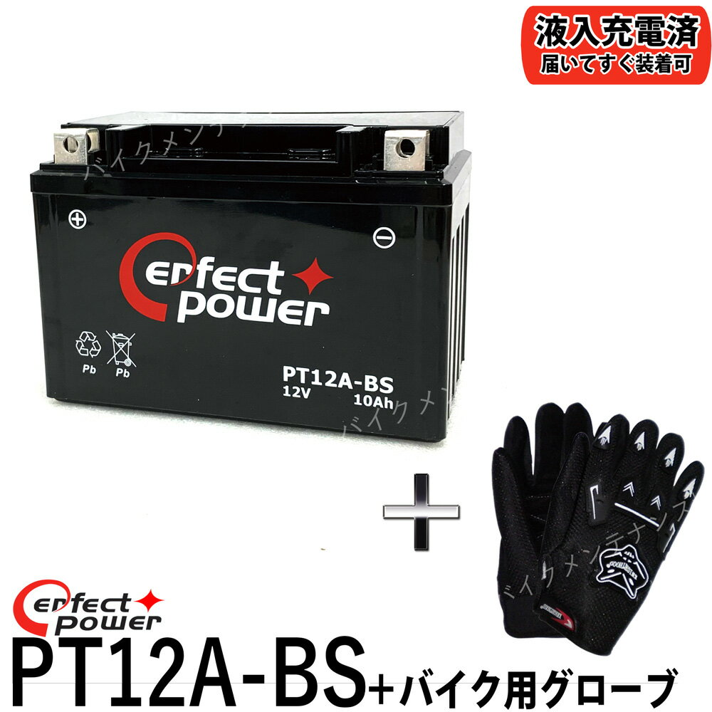 ڥХѥå奰ա PERFECT POWER PT12A-BS ХХåƥ꡼ ڸߴ YT12A-BS DT12A-BS FT12A-BS GT12A-BS ź ¨Ѳǽ GSX1300Rϥ֥ Хǥå GSX-R750 Ninja 400 ZX-10R