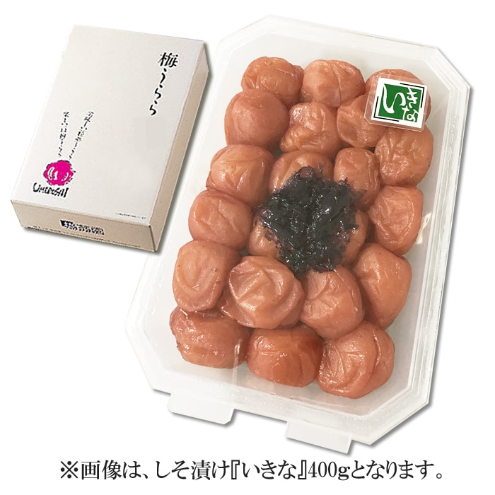 【長寿 御祝に最適】梅うらら いきな レンジパック 400g（塩分8％）【還暦 古希 喜寿 傘寿 米寿 卒寿 白寿 長寿御祝い酸味のある しそ梅 梅干し 梅干 高級梅干し 南高梅 ギフト 梅干し 個包装 梅干し ギフト 高級 梅干し 南高梅 ギフト 南高梅 紀州南高梅】