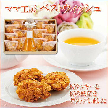 【期間限定】ベストウィッシュ【梅クッキー と 梅の妖精 をセットでご用意!ご贈答にも最適♪ 手作り スイーツ クッキー お菓子 無添加 梅ジャム コンフィチュール 手作り 手作りお菓子 ママ工房 】