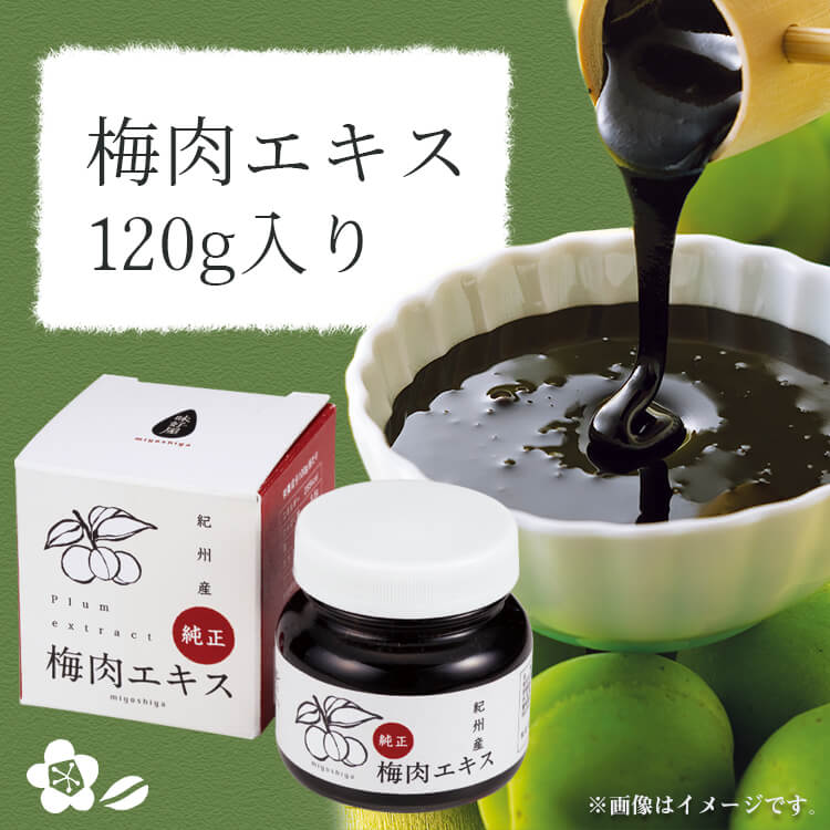 梅醤エキス 濃縮番茶＆生姜入り 250g ※賞味期限24年05月17日まで 在庫限り ※返品不可