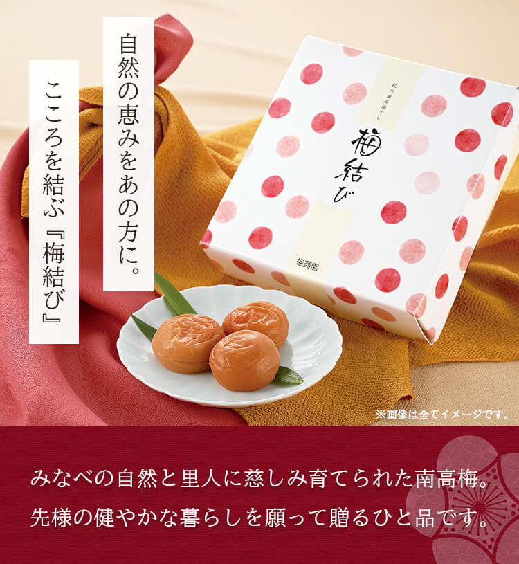 梅干し ギフト 梅結び 430g 国産 紀州 ...の紹介画像2