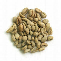 モカレケンプティーコーヒー 100g-500g コーヒー豆 コーヒー 珈琲 Coffee