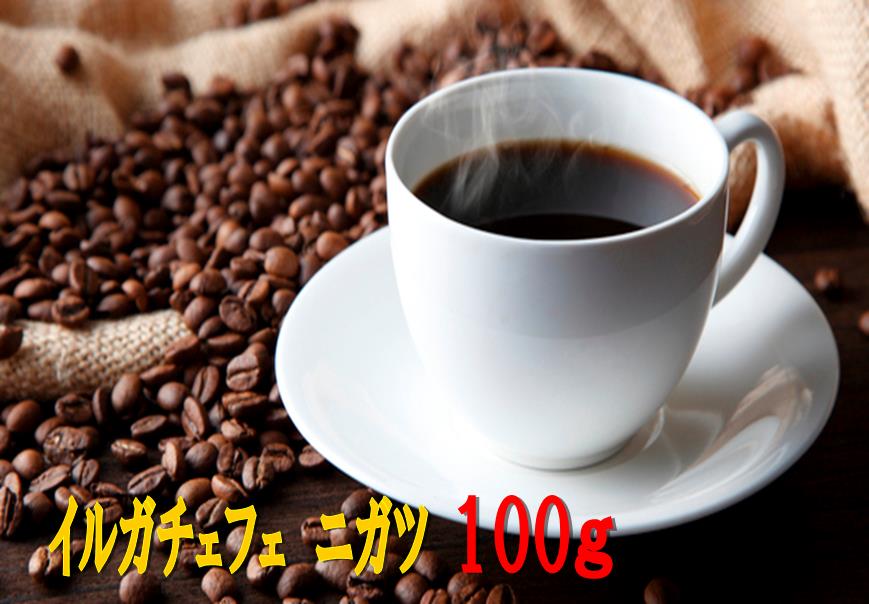 エチオピア　イルガチェフェ　ニガツ 100g　コーヒー　珈琲　 Coffee