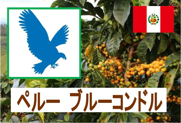 ペルー ブルーコンドル 100g 珈琲 Coff